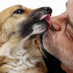 Dog licking person's face