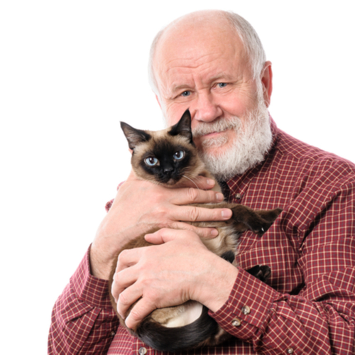 A nurturing pet owner holding their cat